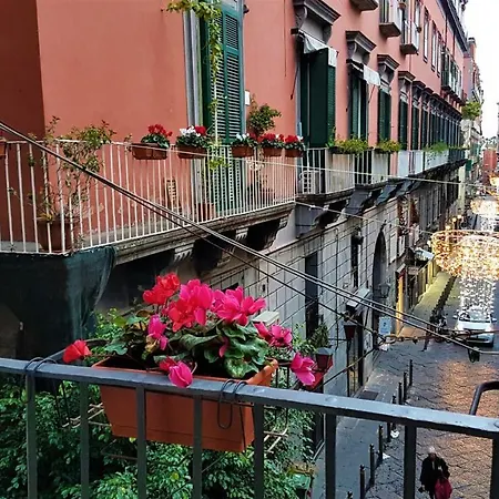 بيت ضيافة Il Salotto Di Nonna Cornelia 2